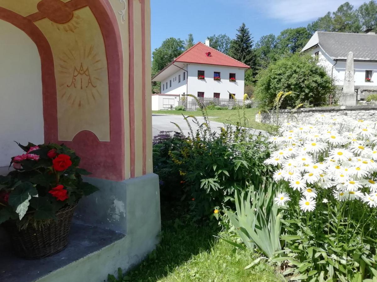 Ubytovani Praschlhaus ฮอร์นี ปลานา ภายนอก รูปภาพ