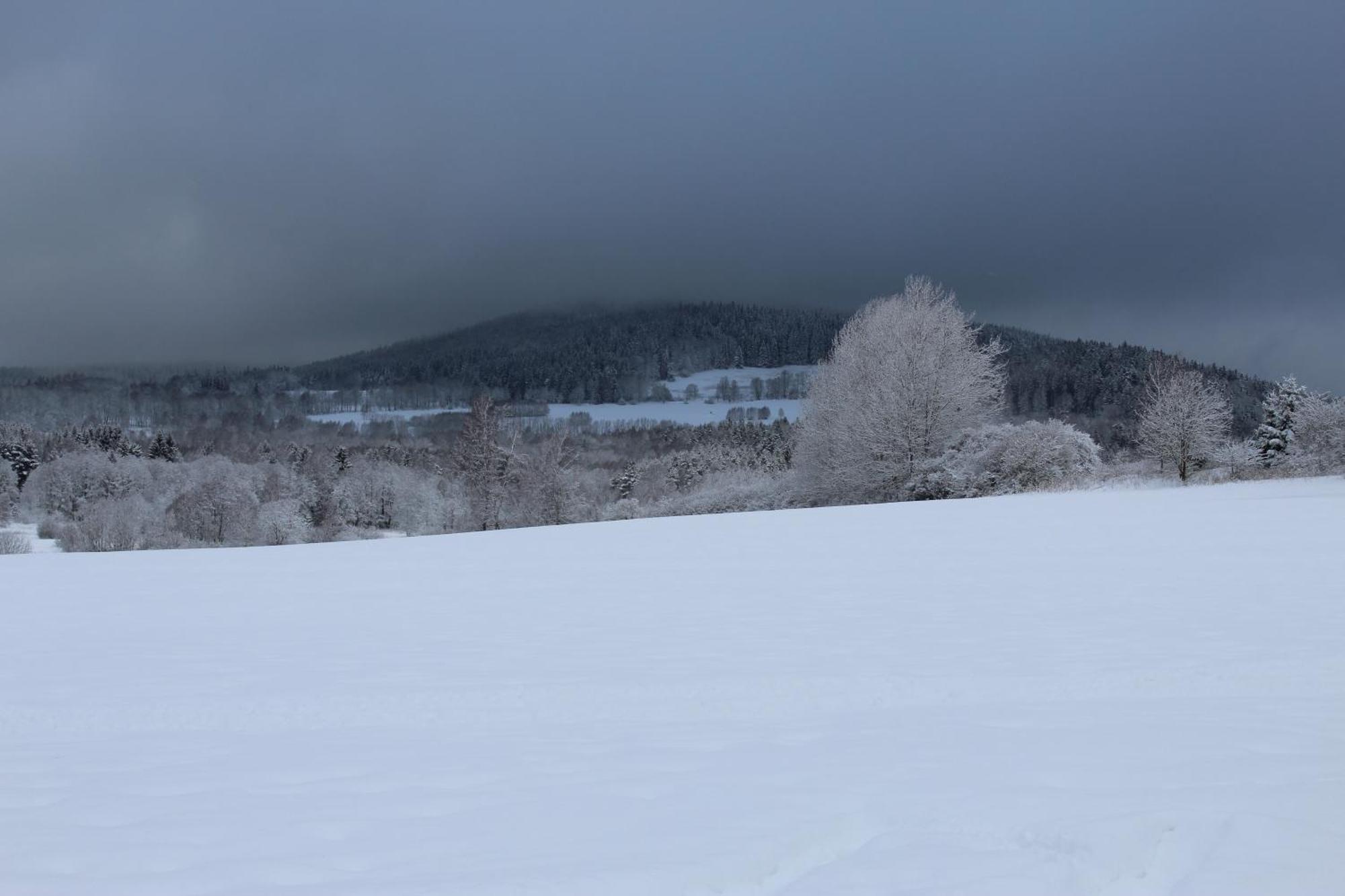 Ubytovani Praschlhaus ฮอร์นี ปลานา ภายนอก รูปภาพ