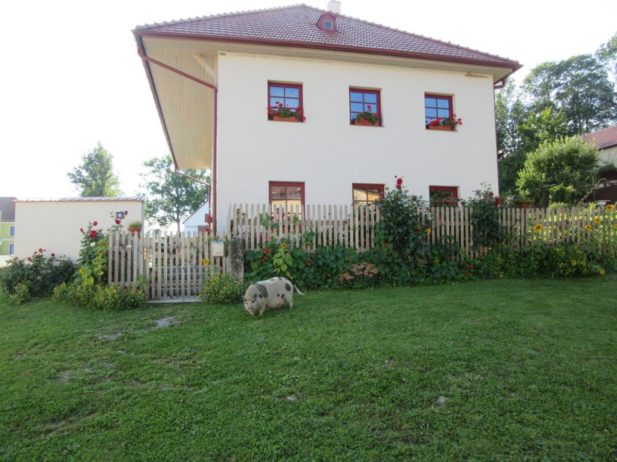 Ubytovani Praschlhaus ฮอร์นี ปลานา ภายนอก รูปภาพ
